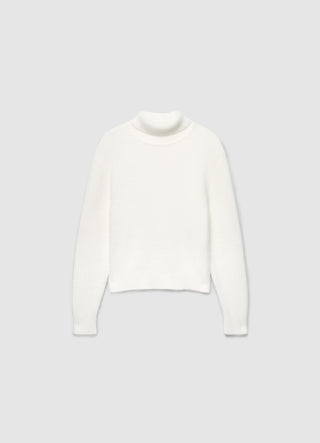 Pull à col roulé uni