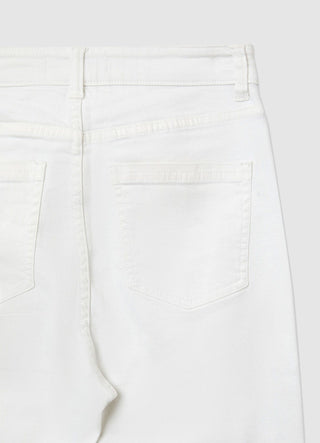 STILLG-SAB0078465001-SC66-DETAIL1.jpg