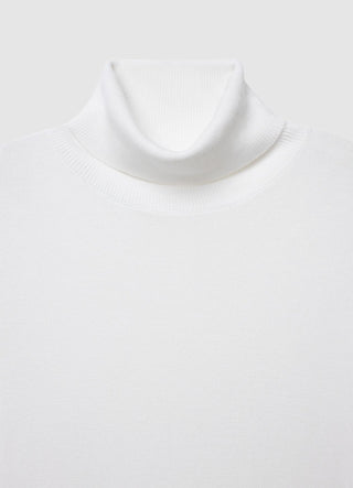 Pull à col roulé uni