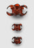 STILLG-SAC0018771001-S247-DETAIL1.jpg