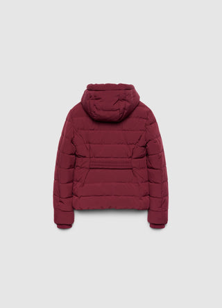 Padded jacket with hood and belt