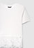 STILLG-SAB0079030001-S347-DETAIL1.jpg