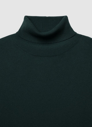 Pull à col roulé uni