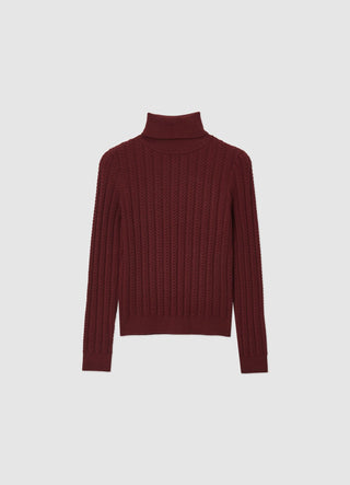 Pull à col roulé et tresses