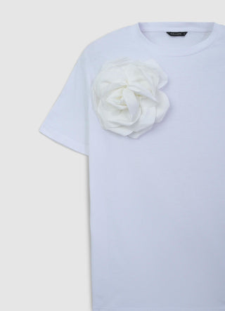 STILLG-SAB0072788001-S347-DETAIL1.jpg