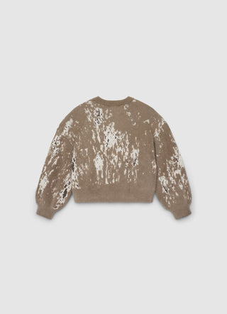 Jacquard-Pullover mit Animalier-Muster und Rundhalsausschnitt