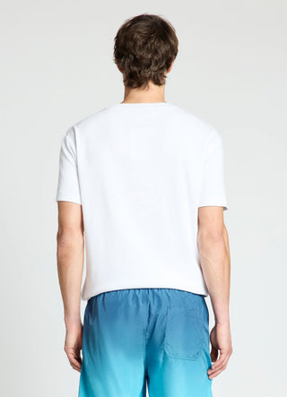 WORNG-SAB0079725001-S347-FULLBACK.jpg
