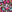 SW-SAB0066250001-S387.jpg
