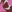 SW-SAB0072138001-S272.jpg