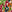 SW-SAB0072288001-S174.jpg