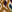SW-SAB0072353001-S174.jpg