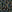 SW-SAB0072530001-S186.jpg