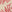 SW-SAB0072597001-S174.jpg