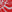 SW-SAB0072664001-S283.jpg