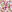 SW-SAB0072676001-S217.jpg
