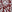 SW-SAB0073375001-S250.jpg