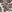 SW-SAB0073693001-S294.jpg