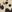 SW-SAB0073948001-S174.jpg