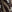 SW-SAB0074145001-S249.jpg