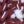 SW-SAB0074360001-S191.jpg