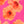 SW-SAB0078348001-S213.jpg