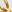 SW-SAB0078542001-S172.jpg