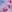 SW-SAB0078549001-S241.jpg