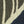 SW-SAB0078962001-S186.jpg