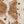 SW-SAB0079594001-S294.jpg