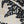 SW-SAB0079750001-S294.jpg