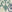SW-SAB0083090001-S172.jpg