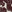SW-SAB0083146001-S269.jpg