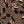 SW-SAB0084480001-S020.jpg