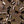 SW-SAB0084503001-S020.jpg