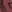 SW-SAB0084514001-S117.jpg