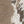 SW-SAB0084825001-S166.jpg