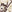 SW-SAB0085486001-S294.jpg