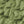 SW-SAB0085795001-S998.jpg