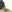 SW-SAB0089037001-S172.jpg