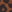 SW-SAC0015356001-S166.jpg