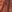 SW-SAC0015489001-S283.jpg