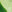 SW-SAC0015489001-S302.jpg