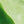 SW-SAC0015489001-S302.jpg