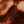 SW-SAC0017427001-S247.jpg