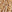 SW-SAC0017501001-S107.jpg