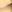 SW-SAC0017519001-S107.jpg