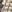 SW-SAC0018176001-SC69.jpg