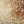SW-SAC0018470001-S247.jpg