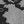 SW-SAC0018686001-SC68.jpg