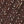 SW-SAC0018731001-S247.jpg